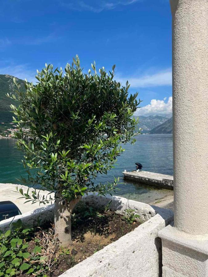 Sea Front 171 Apartment Kotor Exterior photo